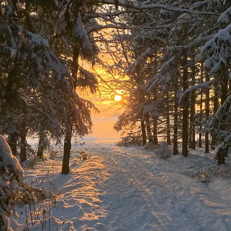 Kathrin's Oelsnitz (Erzgebirge)