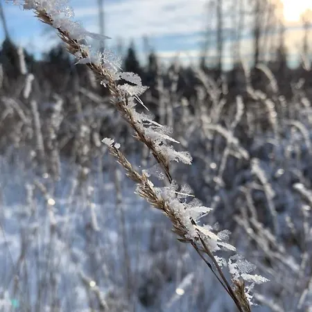 Kathrin's Apartamento Oelsnitz (Erzgebirge)