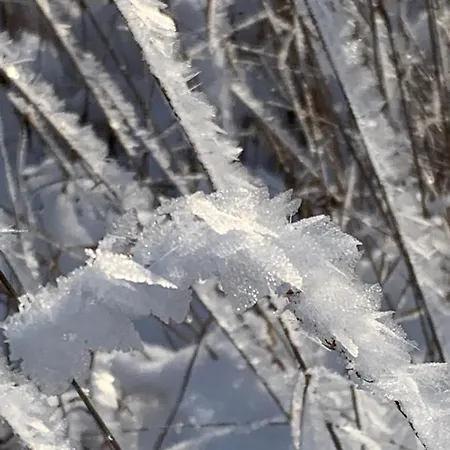 Kathrin's Oelsnitz (Erzgebirge)