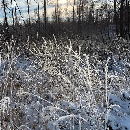 Kathrin's Apartamento *