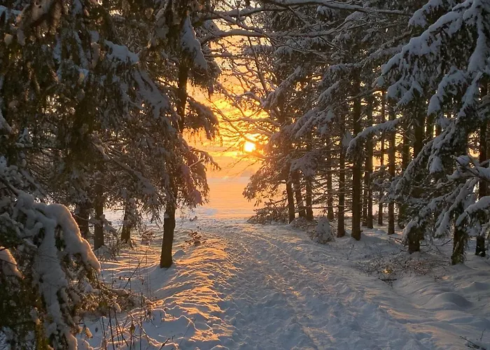 Kathrin's Oelsnitz (Erzgebirge)