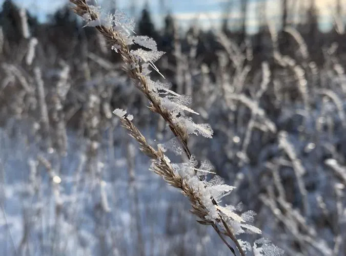Kathrin's Daire Oelsnitz (Erzgebirge)