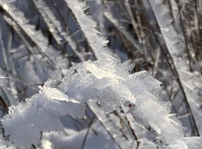 Kathrin's Oelsnitz (Erzgebirge)